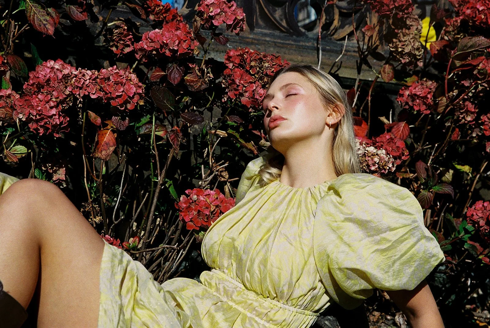 A young woman with blonde hair relaxing outdoors on a bed of pink and red flowering bushes, wearing a light yellow dress with puffed sleeves.