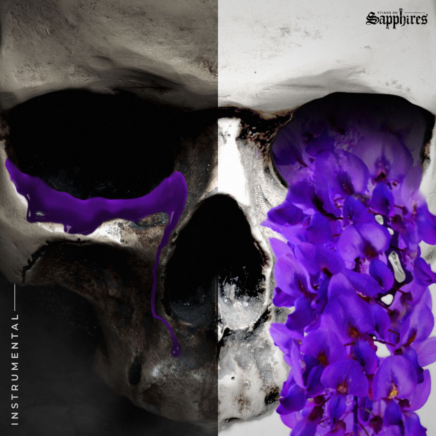 Anhedonia Instrumental (Web).jpg