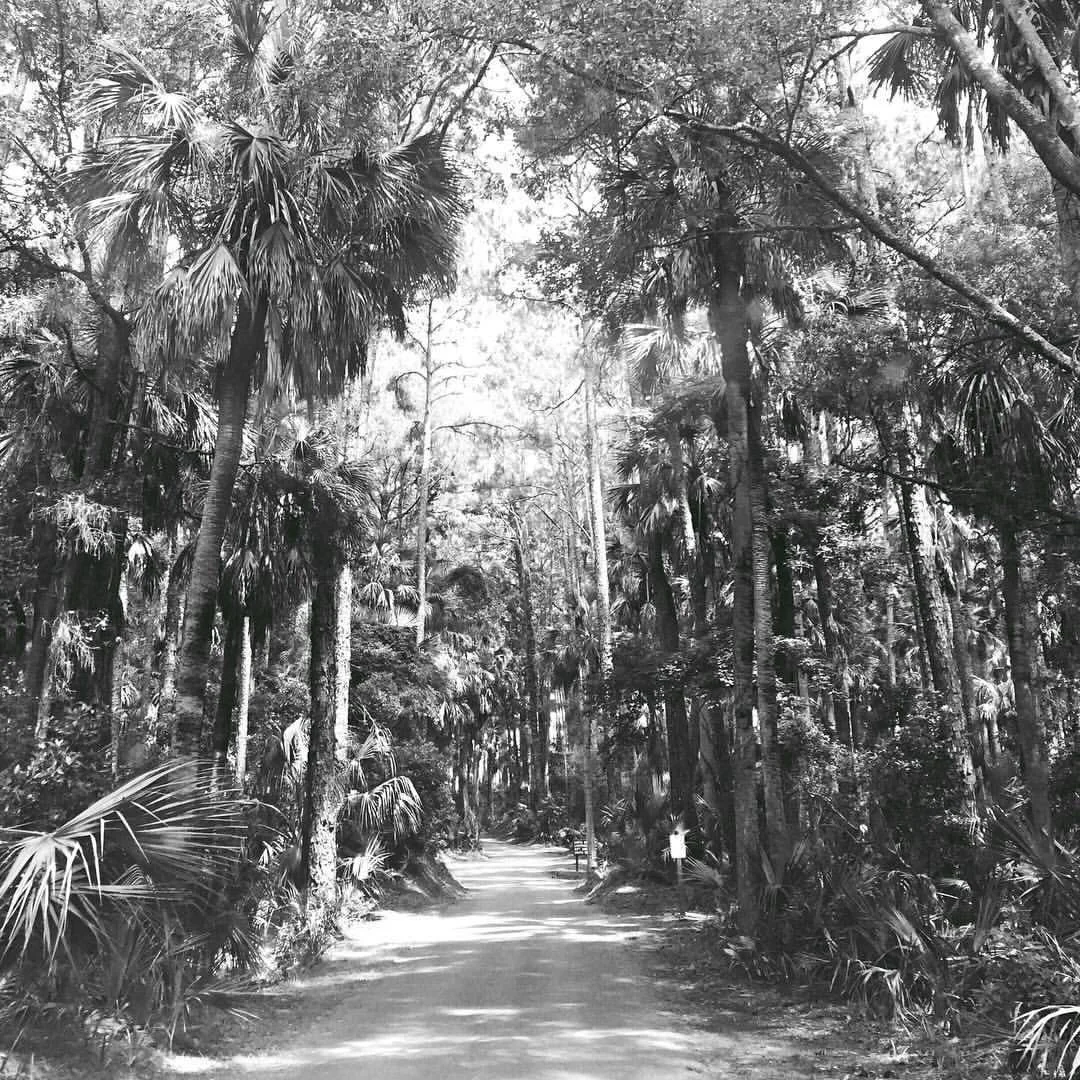 Revisiting 2016 

As usual, I am late to the party but it was fun to reminisce! Looking back on some old Insta posts&hellip;

Jan 5 - Hunting Island, SC (still one of my fav photos)

Jan 12 - Sad to close my brick and mortar shop but excited for the 