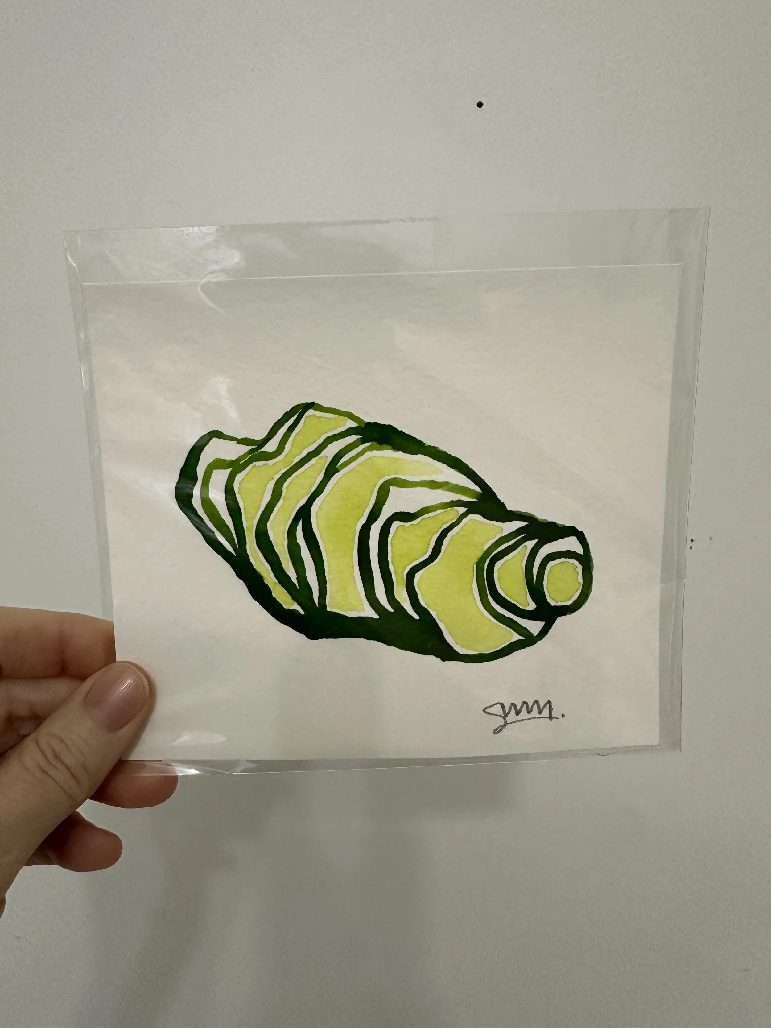 OYSTER - GREEN