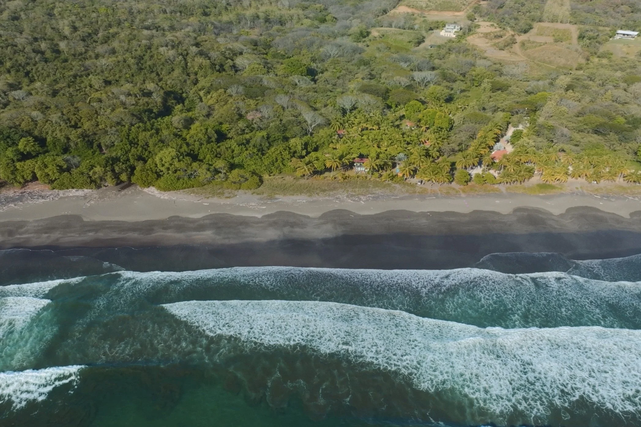 Aerial view of a beach with waves crashing onto the shore and a dense green forest behind it.