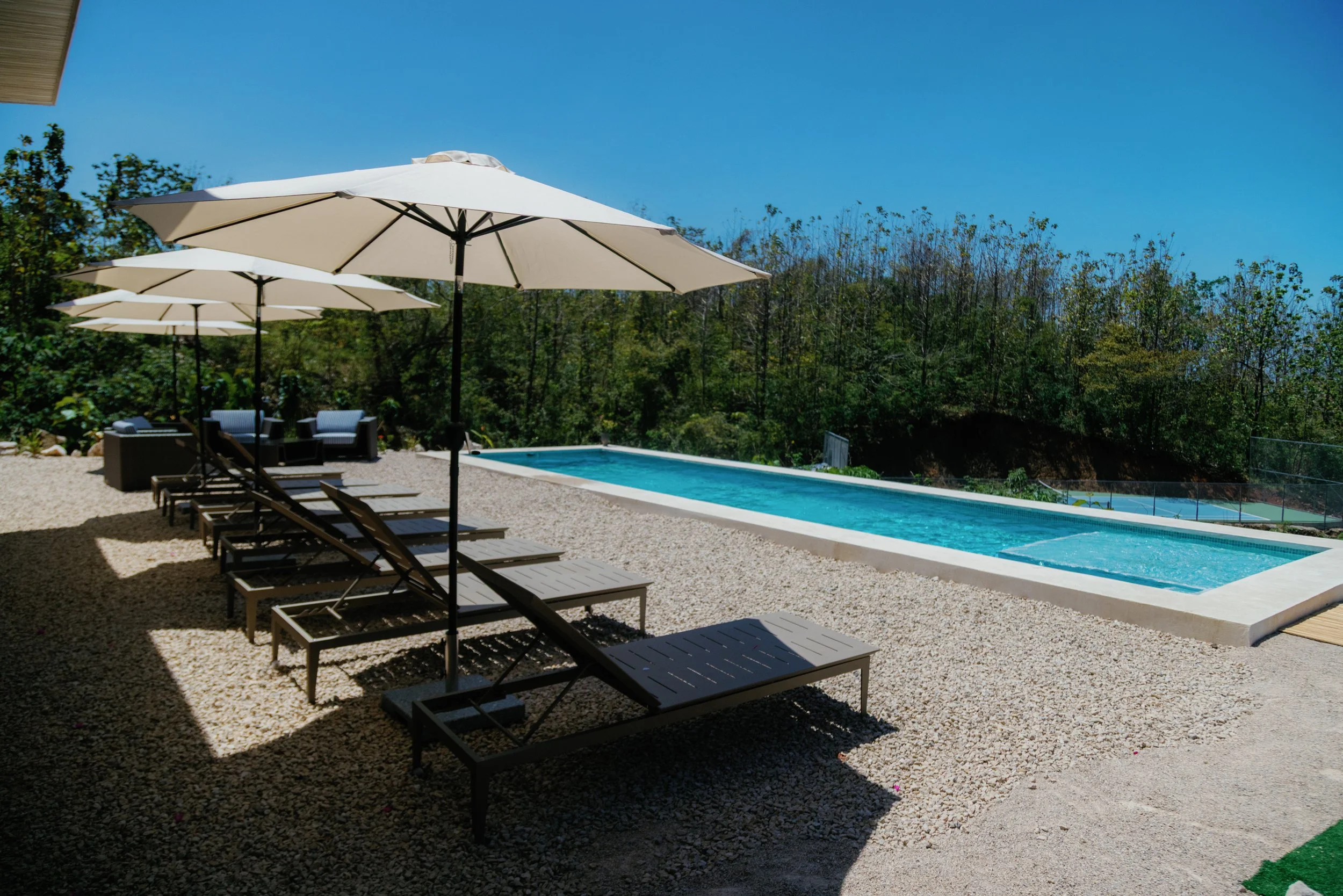 Sunny backyard with a rectangular swimming pool, several lounge chairs with umbrellas, and outdoor seating with chairs and a couch, surrounded by trees and a clear blue sky.