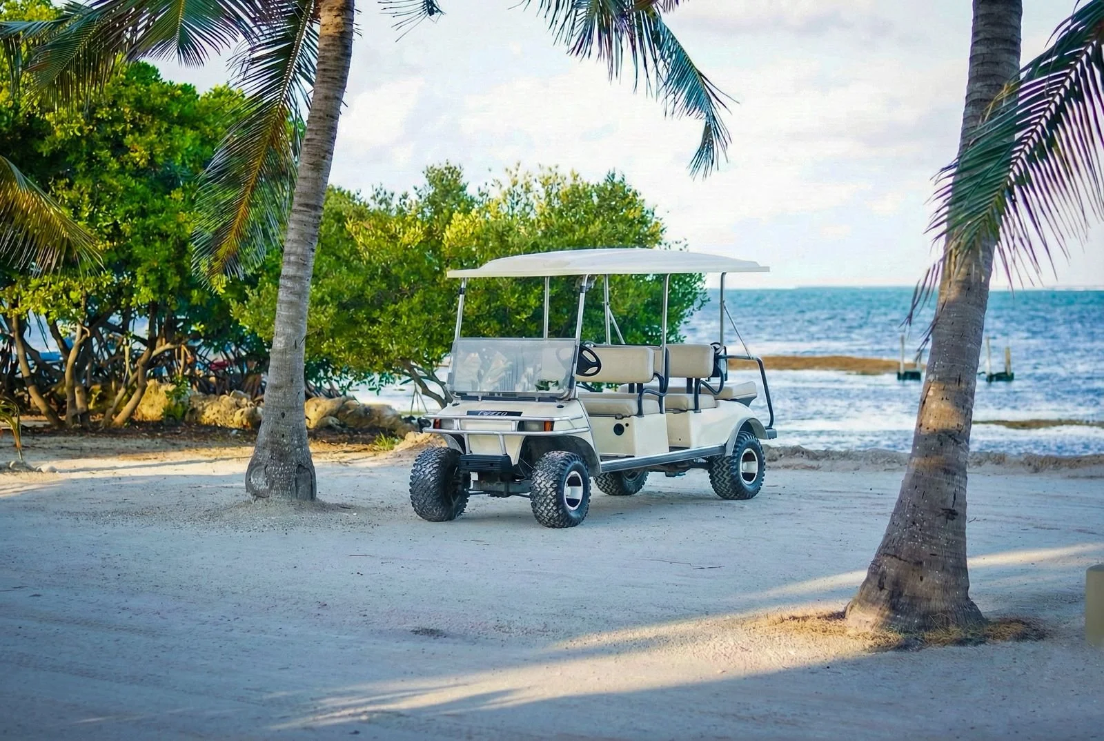 A golf cart parked on a sandy beach under palm trees with the ocean in the background.