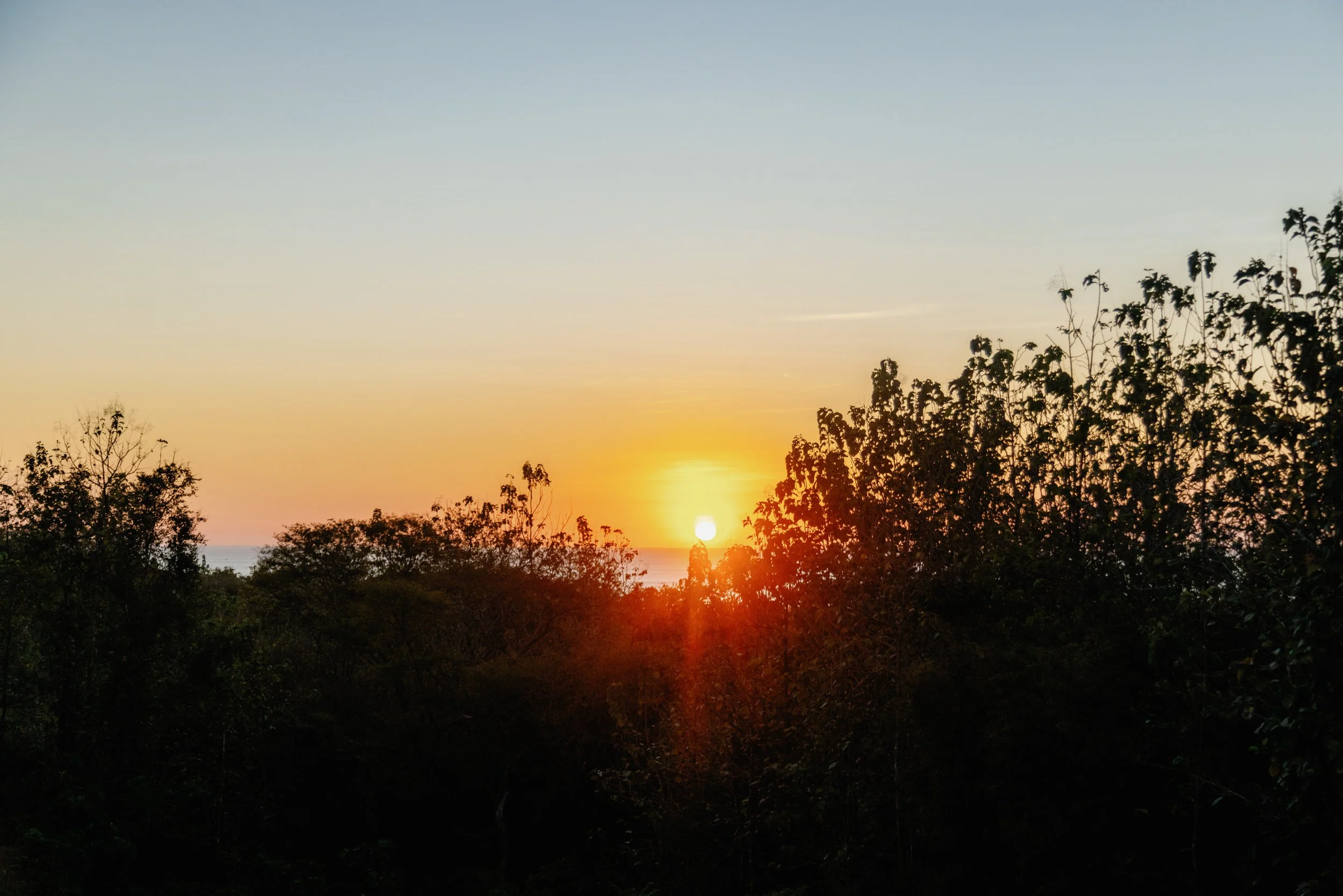 Sun setting over a horizon with trees silhouette in the foreground.