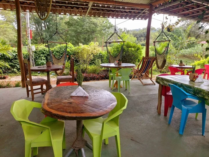 Colorful outdoor dining area with wooden and plastic tables and chairs, hanging hammock chairs, and lush greenery in the background.