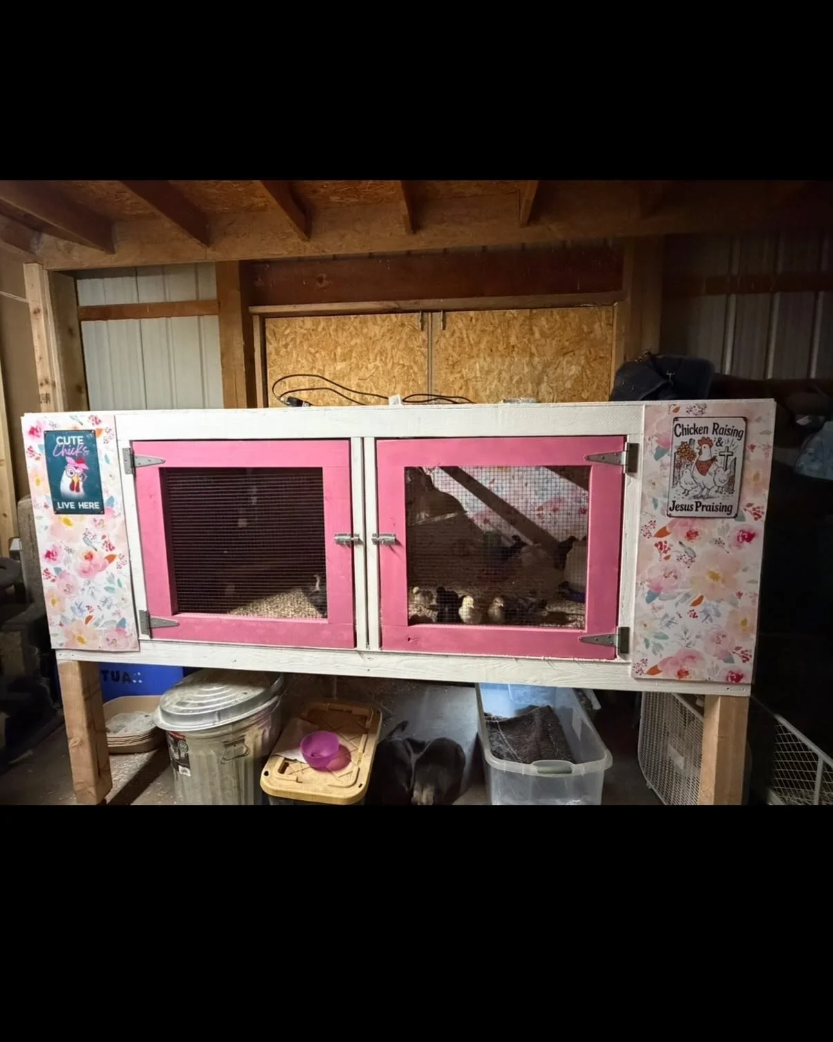 With all the baby action, Jon still made time to build a snazzy chicken nursery! Those little peeps are spoiled rotten, just like the rest of us on this farm ❤️

#chicks #farmlife #faithonthefarm #eggdealer
