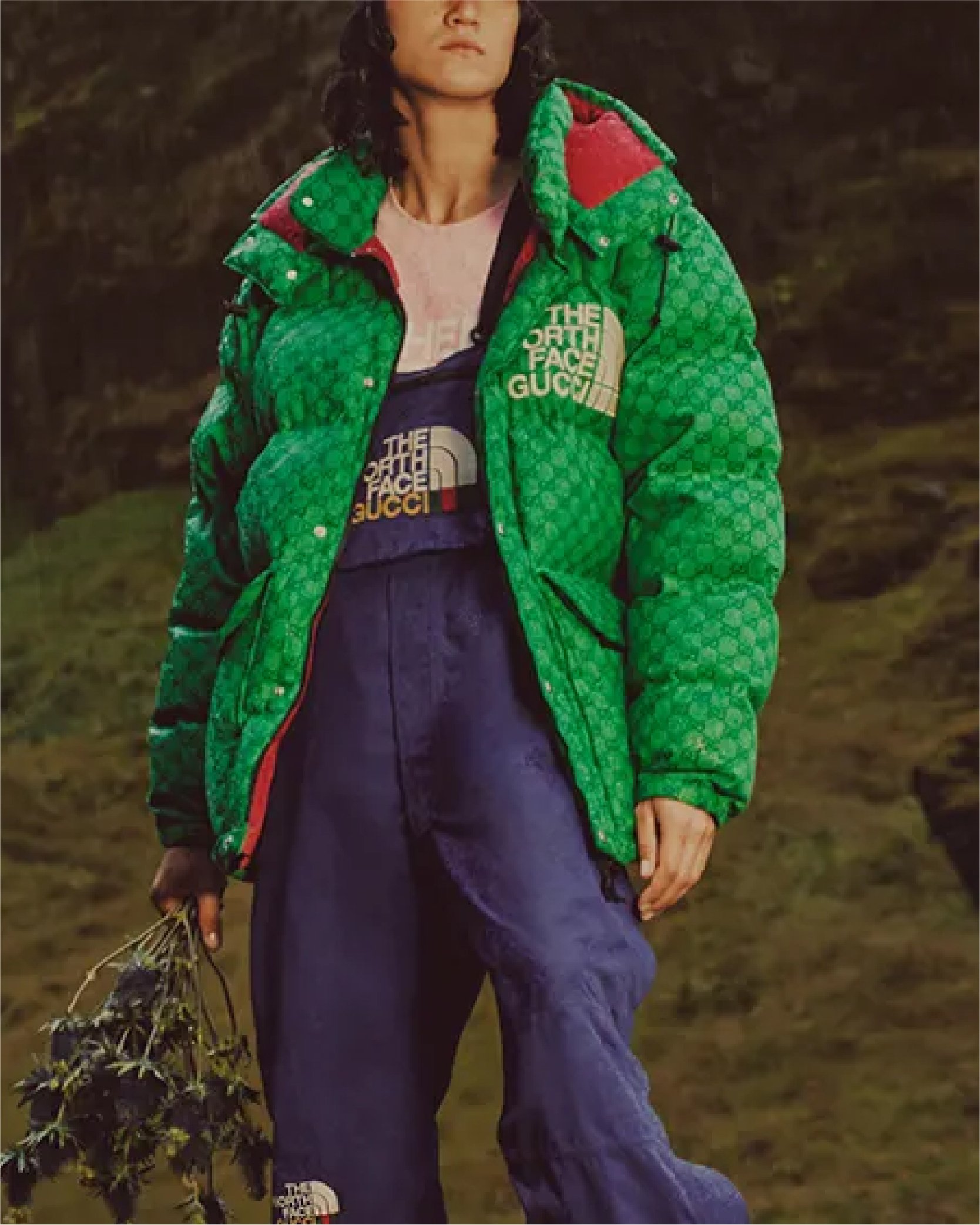Person wearing a green The North Face x Gucci jacket and holding a plant