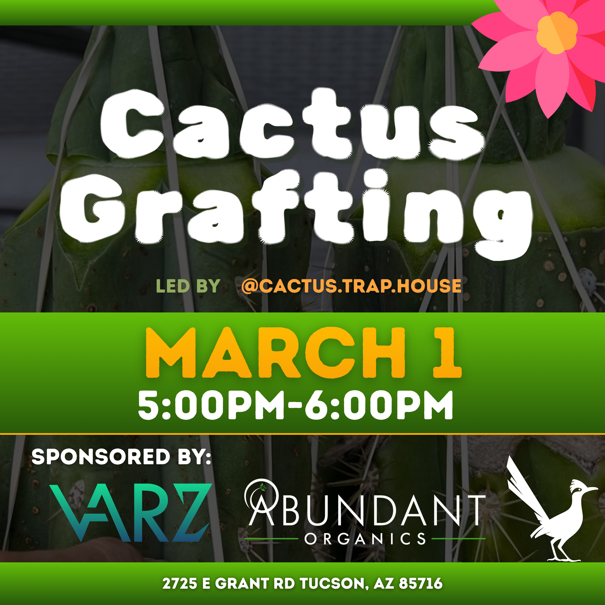 Cactus Grafting Class