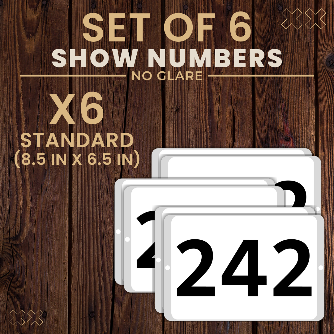 6 Set Thumbnail.png