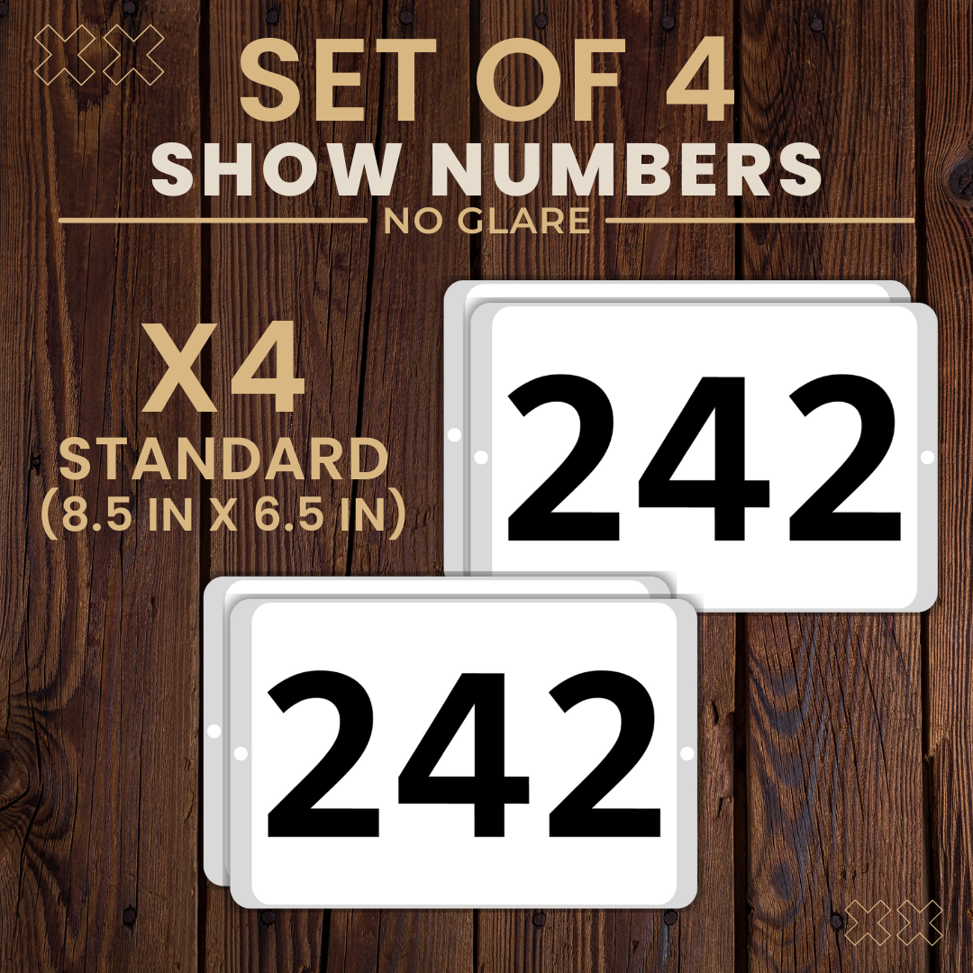 4 Set Thumbnail.png