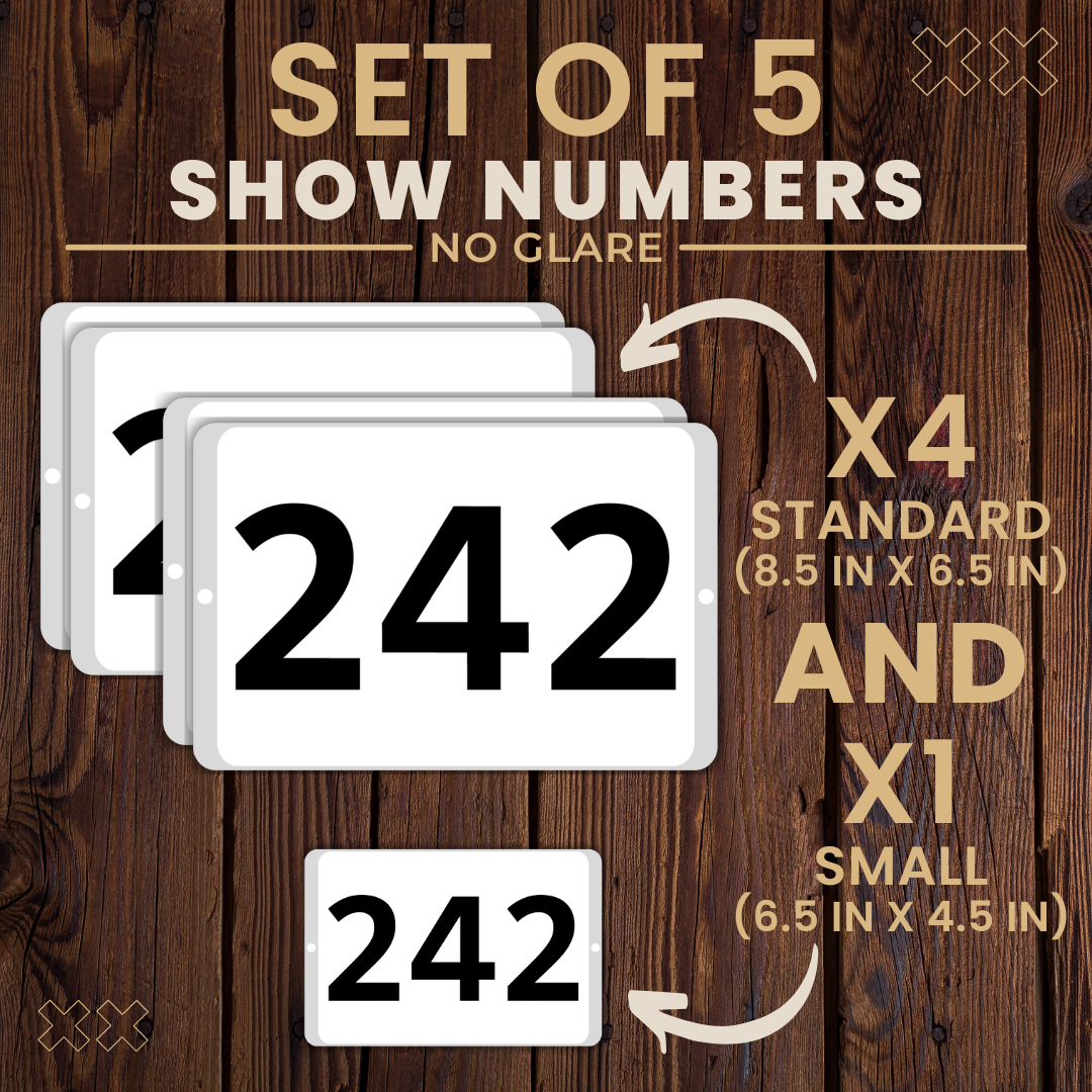 5 Set Thumbnail.png