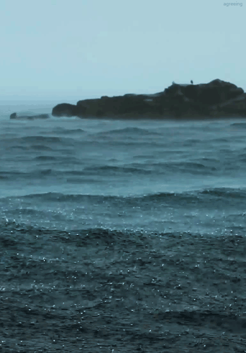 ocean.gif