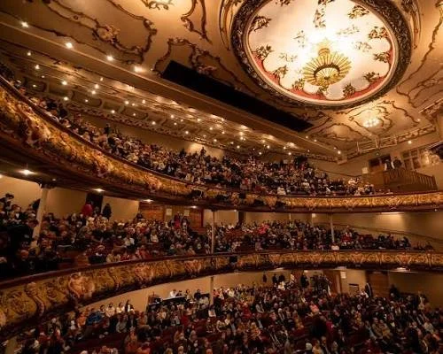 NZ Opera Friedlander Associate Artist Position