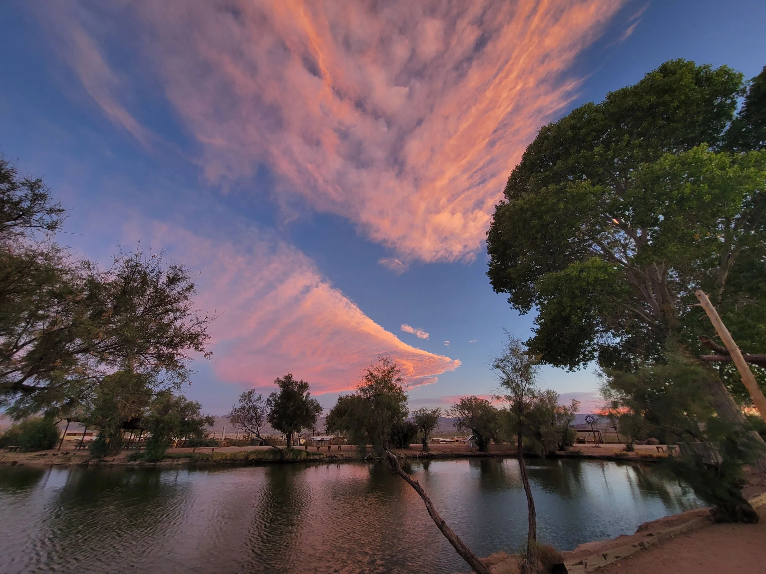 salmon-filet-sky.jpg