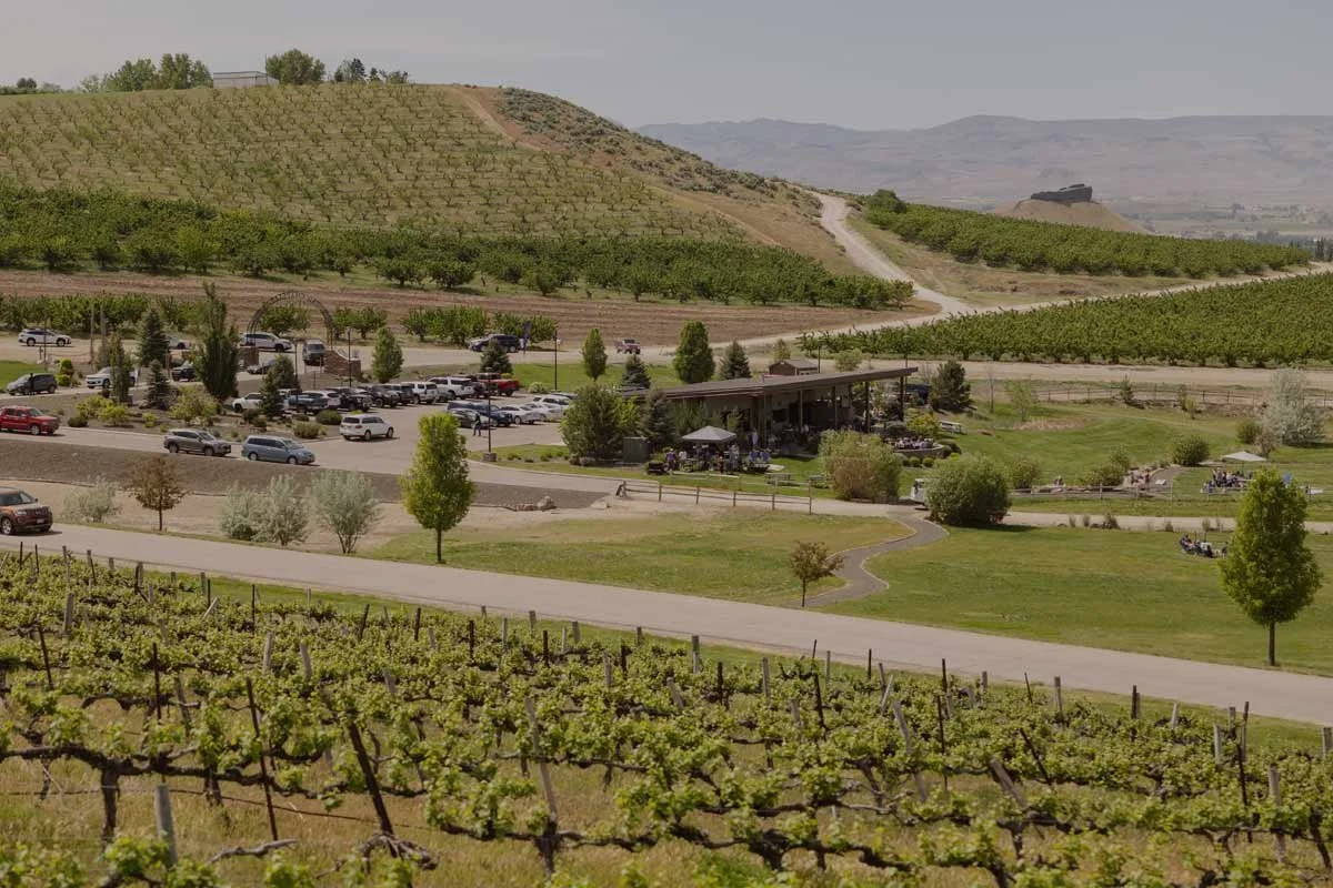 Sunnyslope Wine Festival at Ste. Chapelle