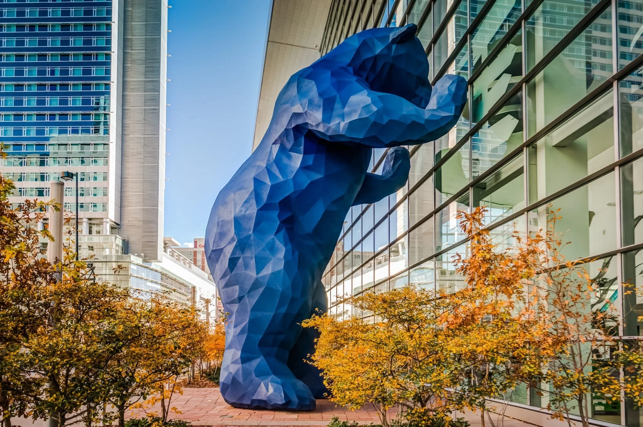 Transform Your Audience's Experience with a Denver Keynote Speaker