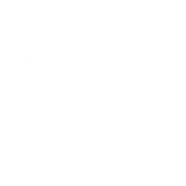 churchs texas chicken logo.webp