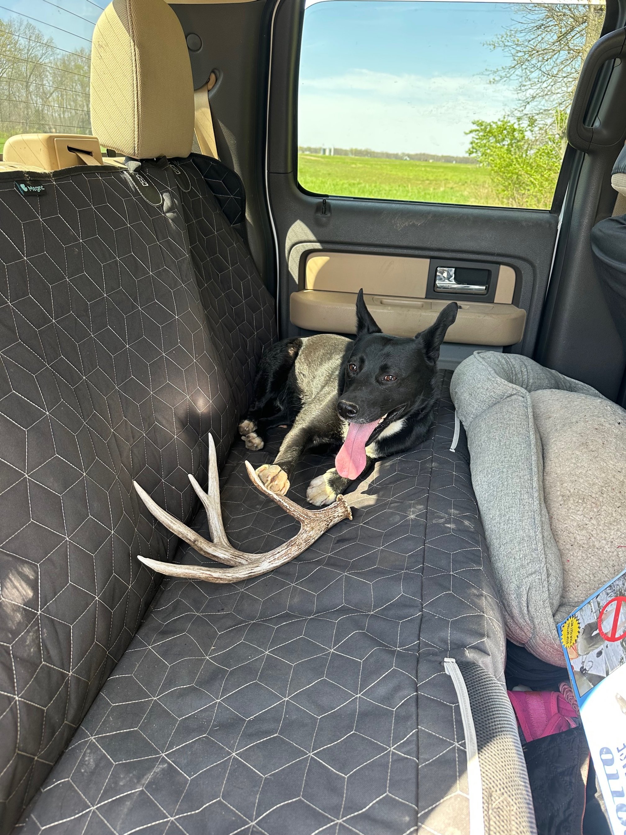 Let the Land Talk (And Let Your Dog Run)