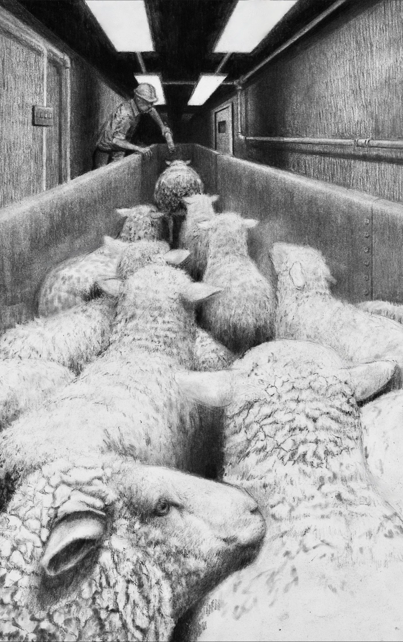 Like Lambs to Slaughter