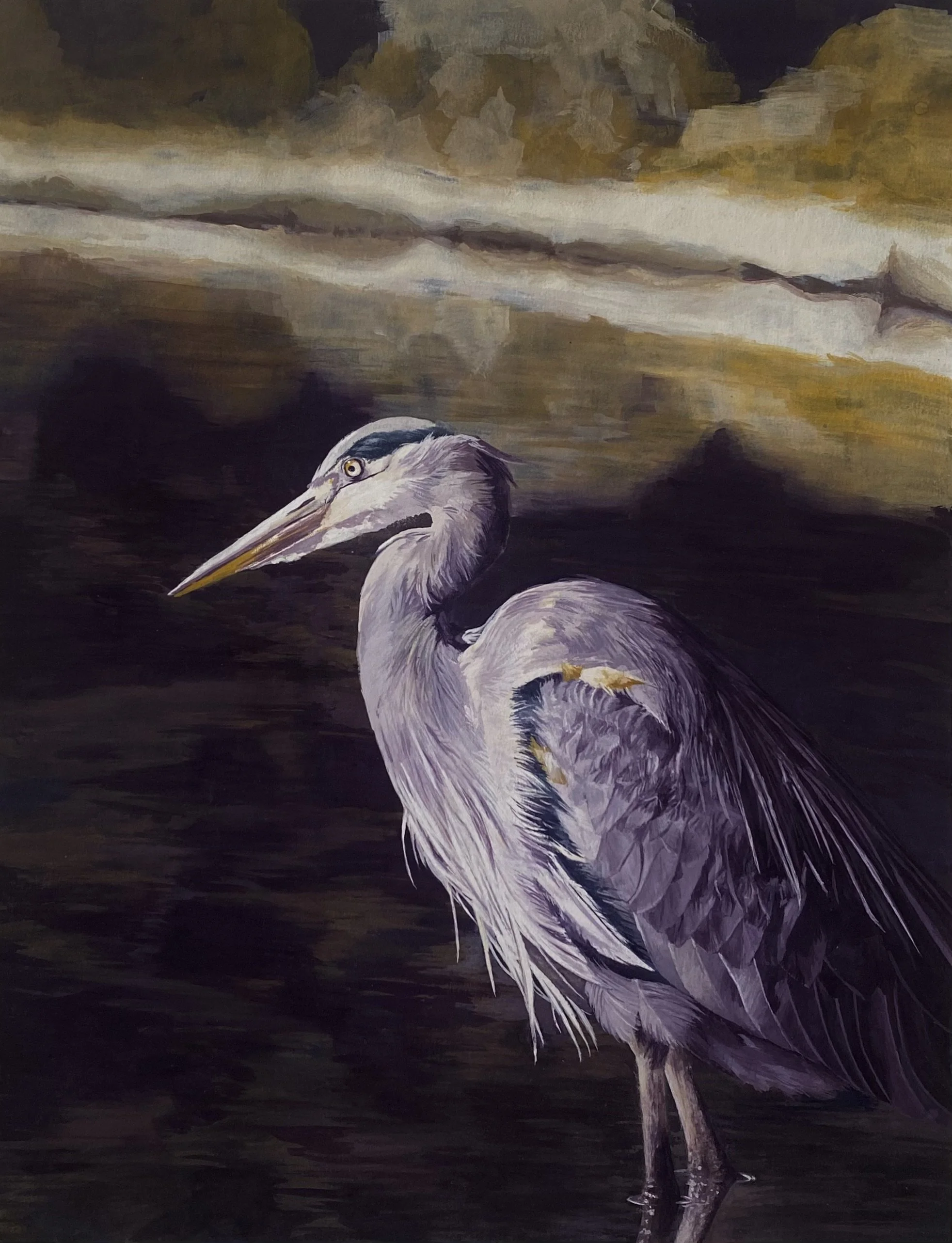 Great Blue Heron