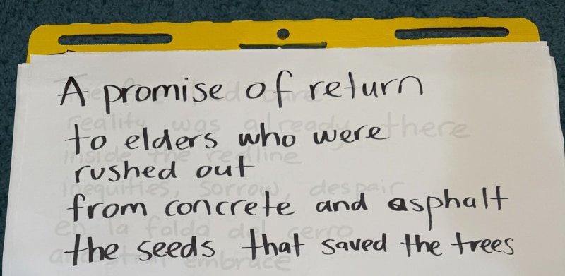 Post it with the lyrics, "A promise of return/ to elders who were rushed out/ from concrete and asphalt/ the seeds that saved the trees"