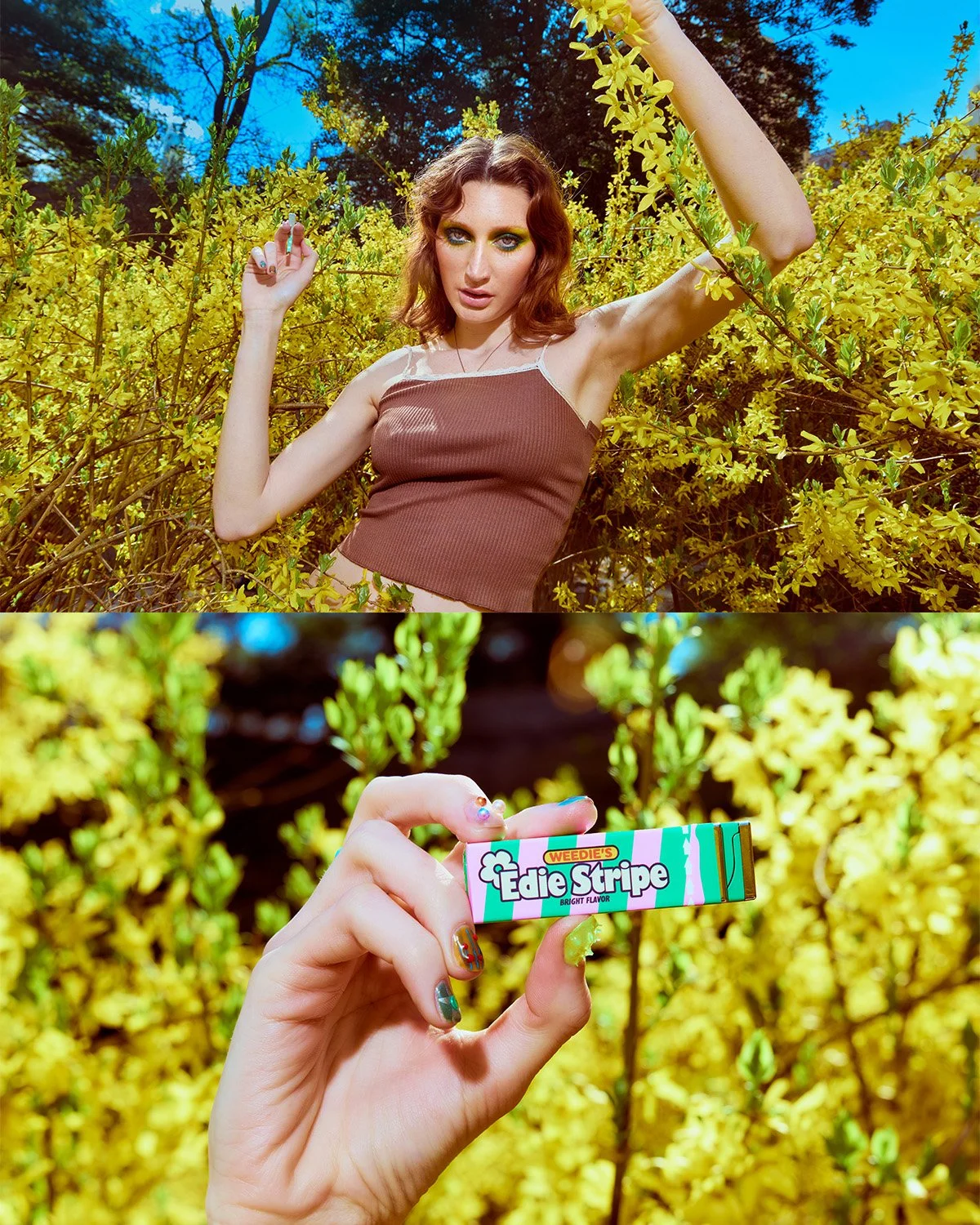 collage3.jpg