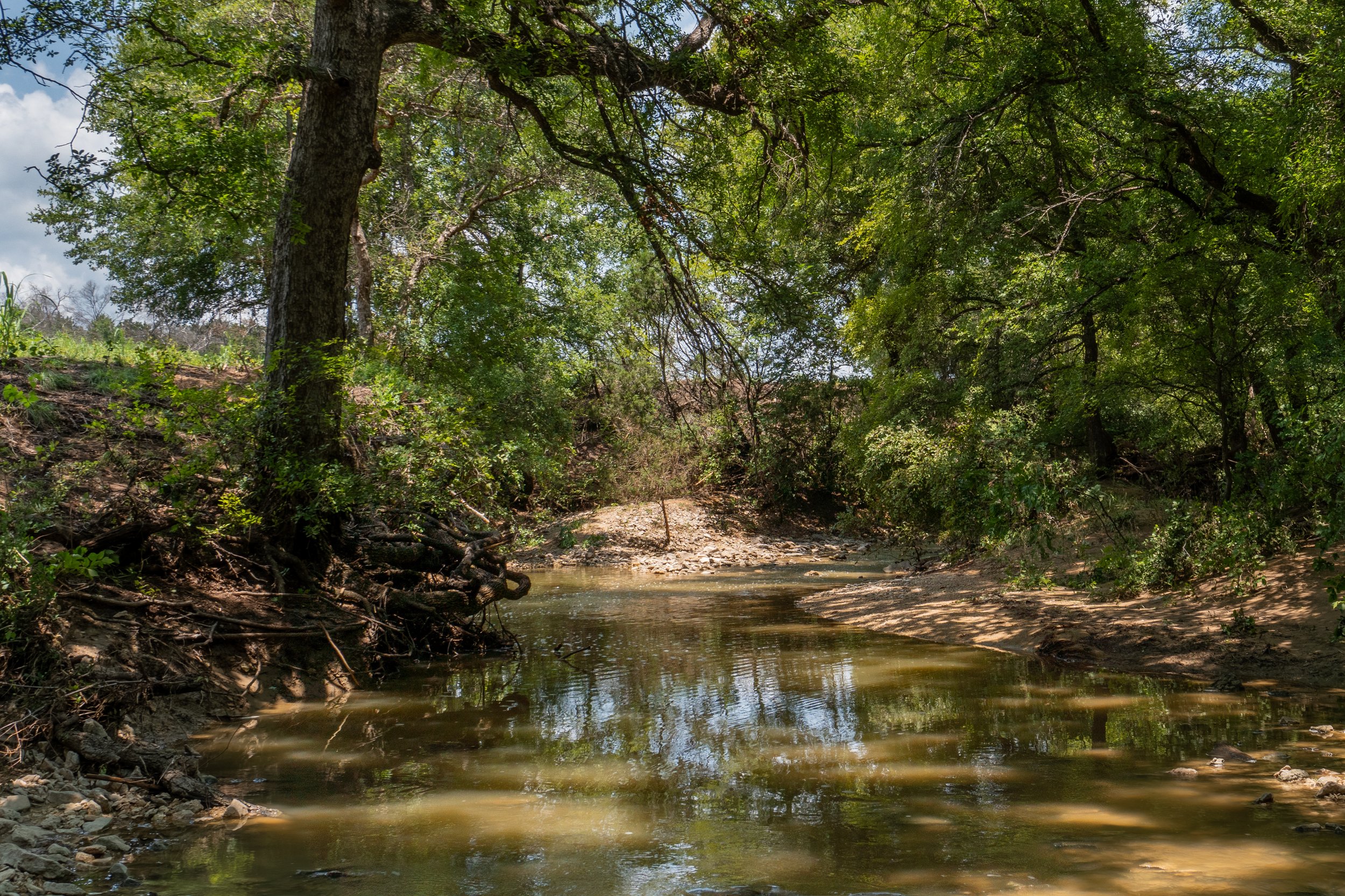 Tract 14  |  30.85 Acres  |  $699,500