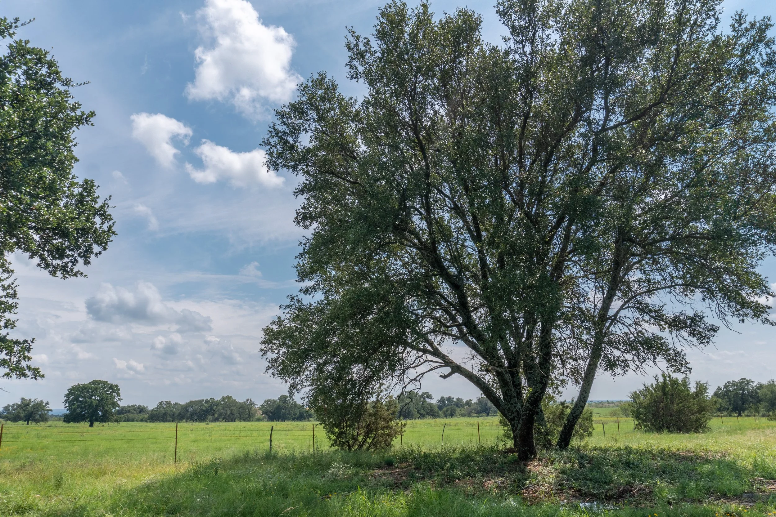 01_Tract 5 - ZVE03744-HDR.jpg