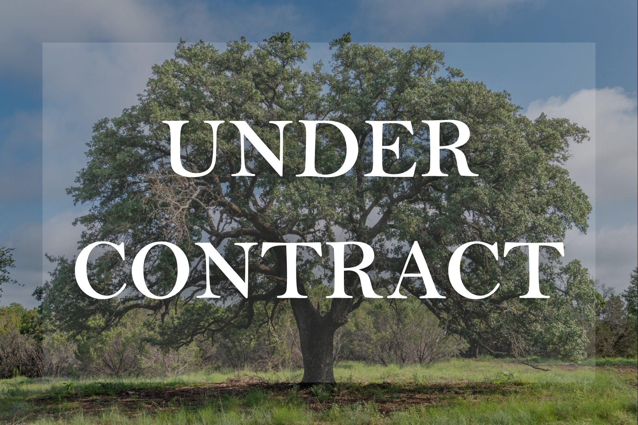 Tract 8 | 15.08 Acres | $362,000