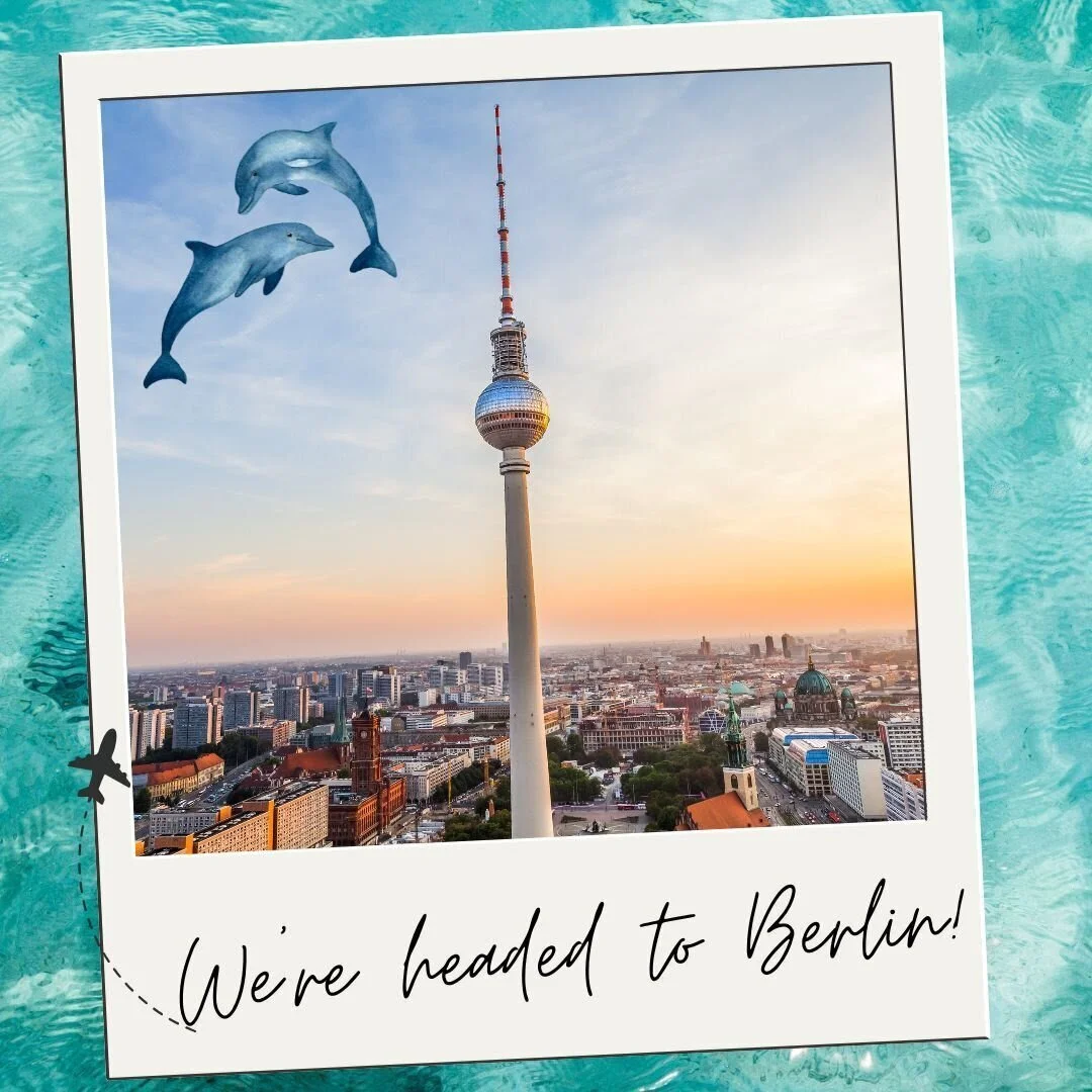 We're headed to the IEC Plenary in Berlin + Join us Live!