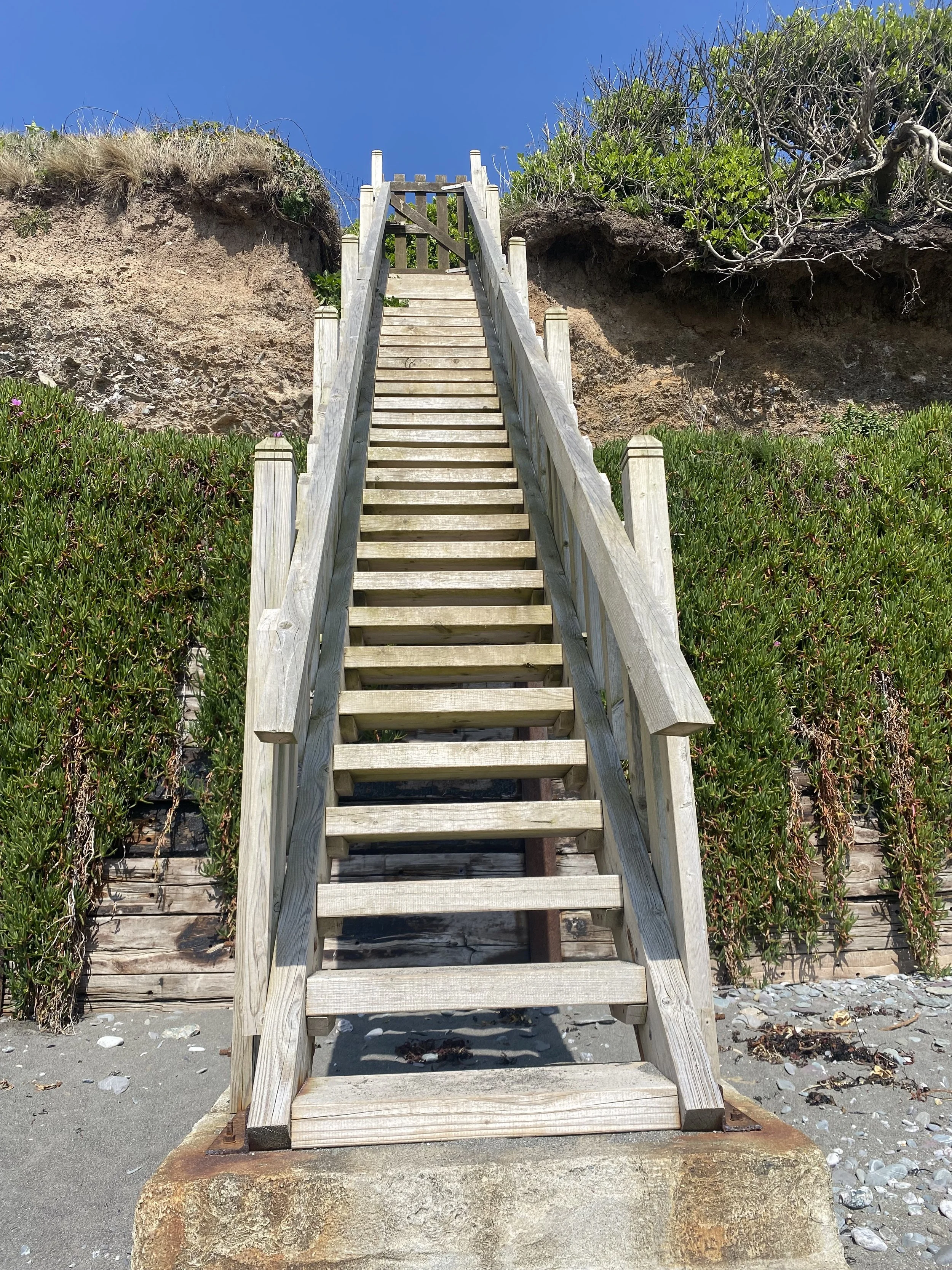 Wooden staircase leading up a sandy beach with green bushes on either side, a rocky cliff behind, and a clear blue sky above.