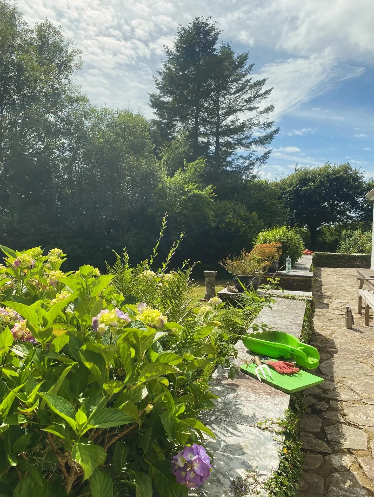View of a garden with flowering hydrangeas, a stone patio with gardening tools, potted plants, and lush trees under a partly cloudy sky.