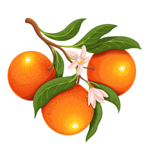 orange icon.png