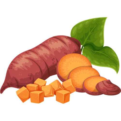 sweet potato icon.png