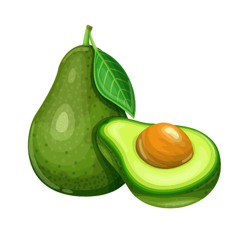 avocado icon.png