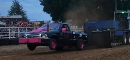 stray one ss video.jpeg