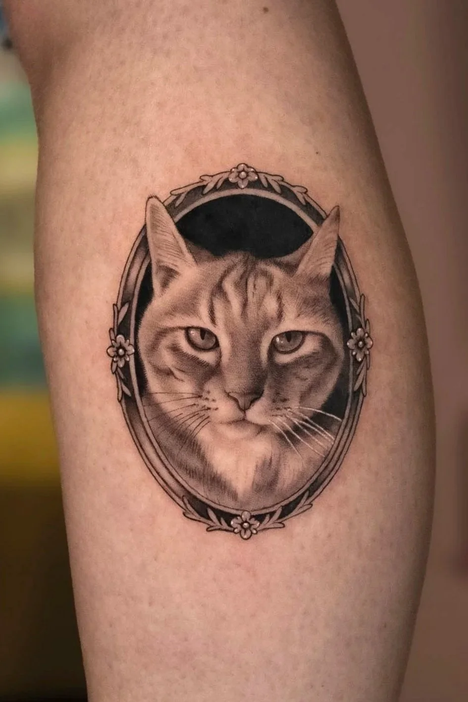 Pet Portraits