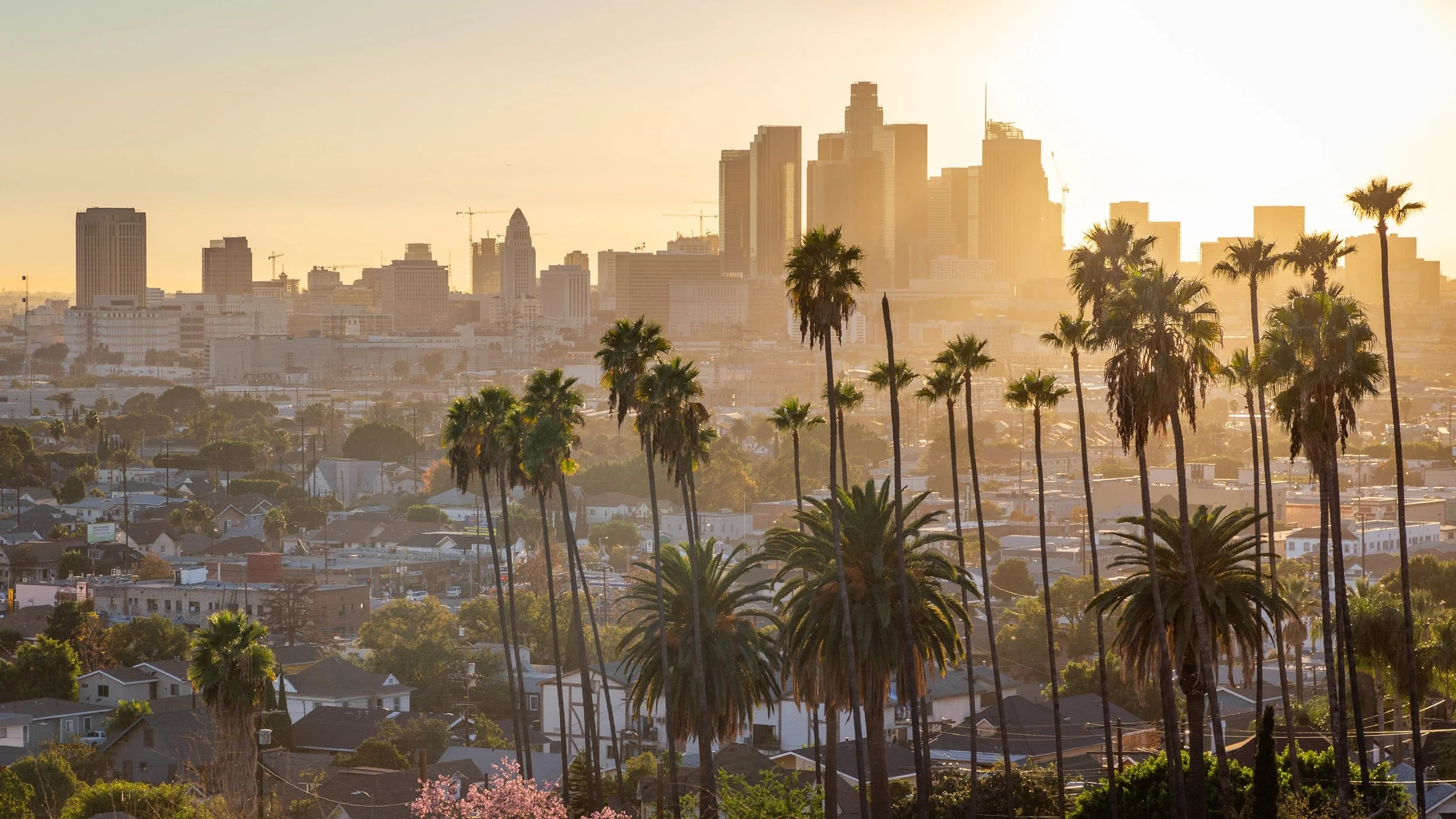 A city skyline at sunset with tall buildings, palm trees in the foreground, and a warm, golden glow over the city.