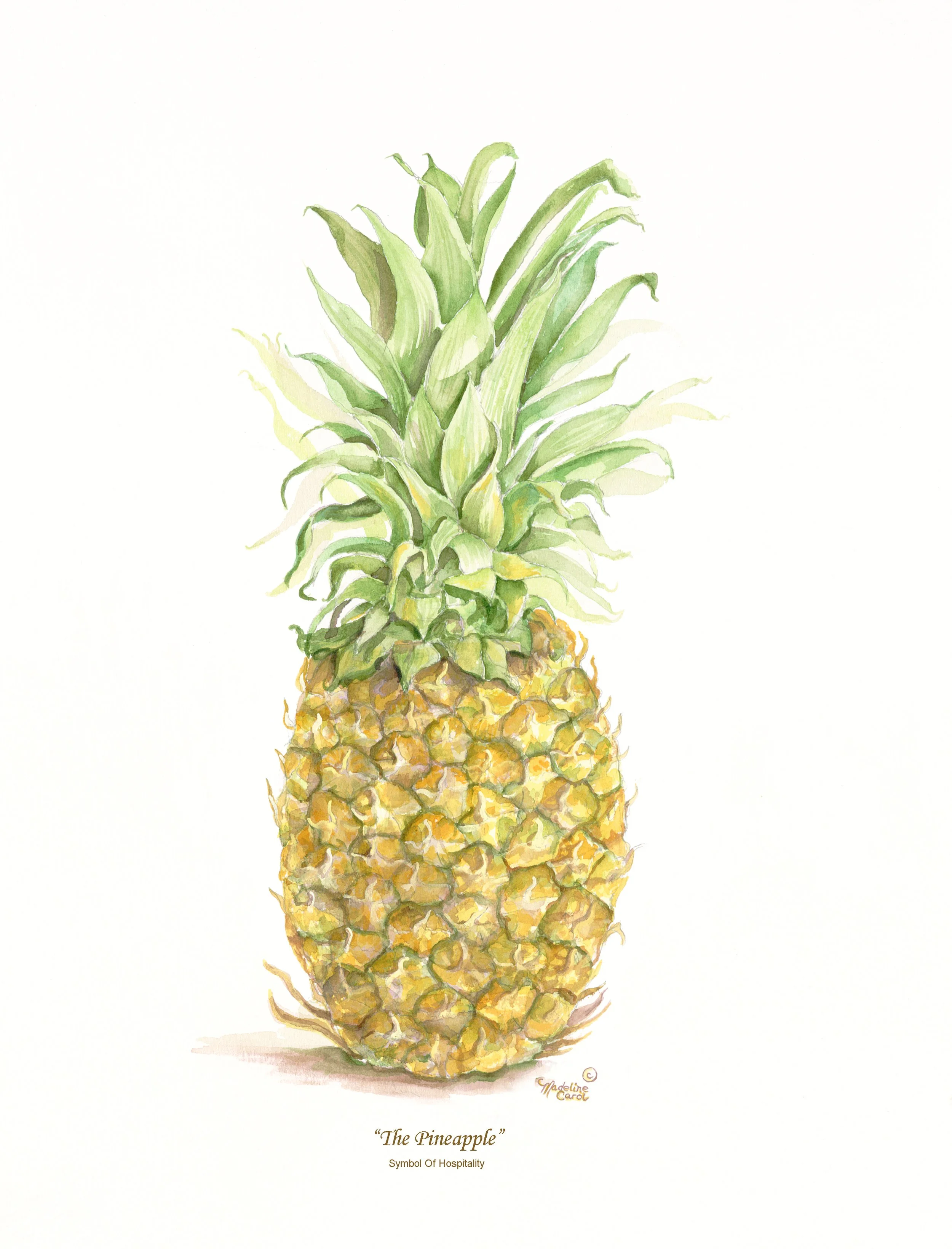 The Pineapple