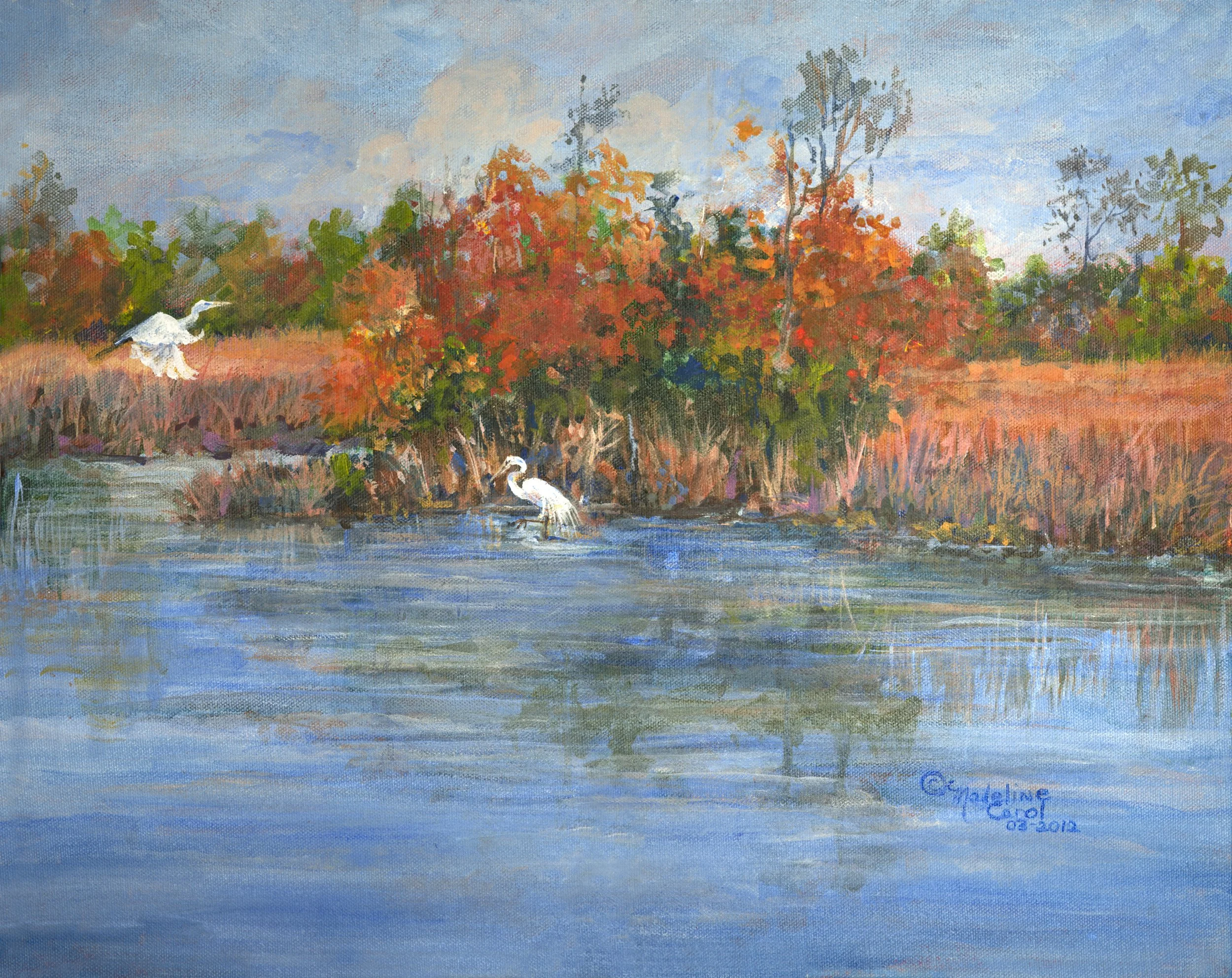 Turkey Creek