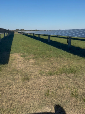 Solar panels installed on a grassy field under a clear blue sky.