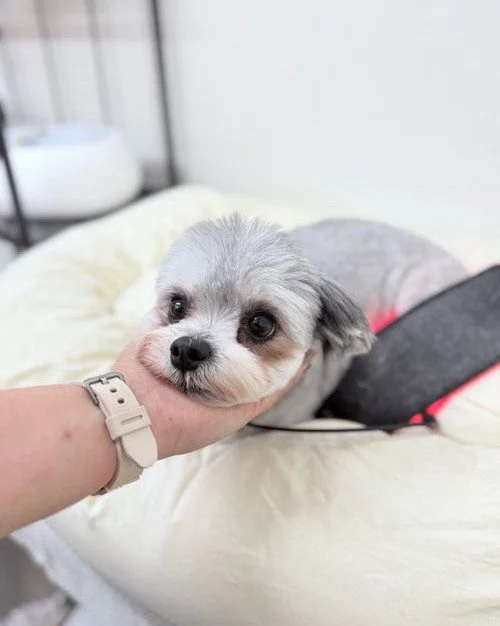 Jan 2026 (Click for more photos)