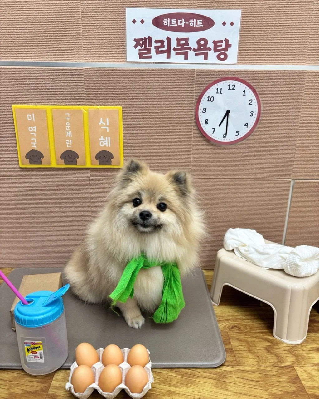 Feb 2026 (Click for more photos)