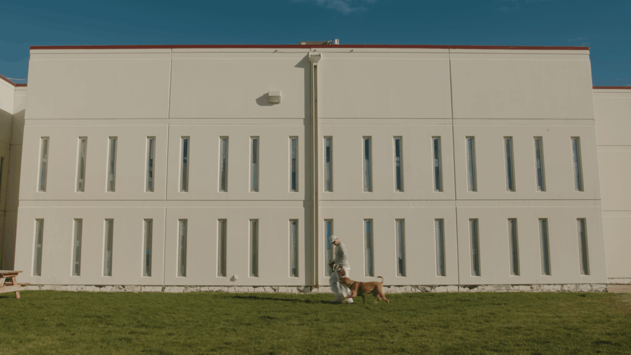 The Animal Retreat // Mini Documentary