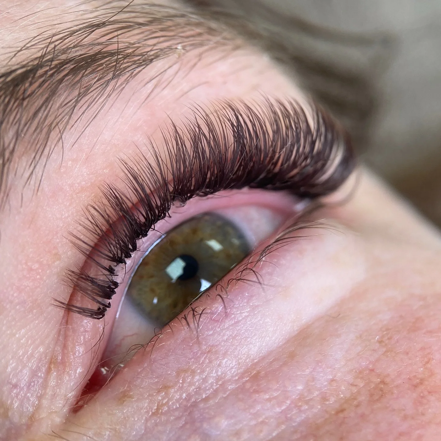 brown lash extensions 🐻