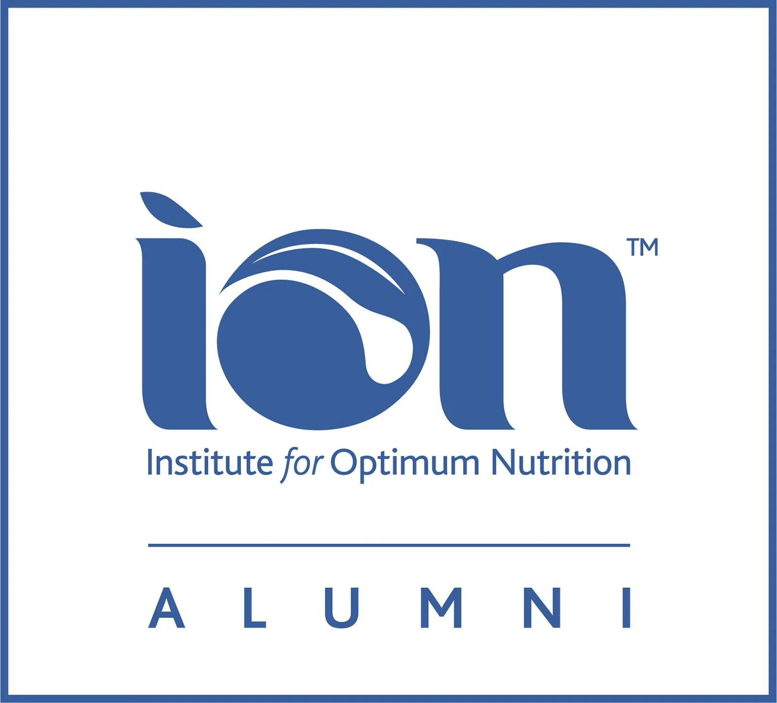 ION+Alumni+LOGO+Digital+-+White.jpg