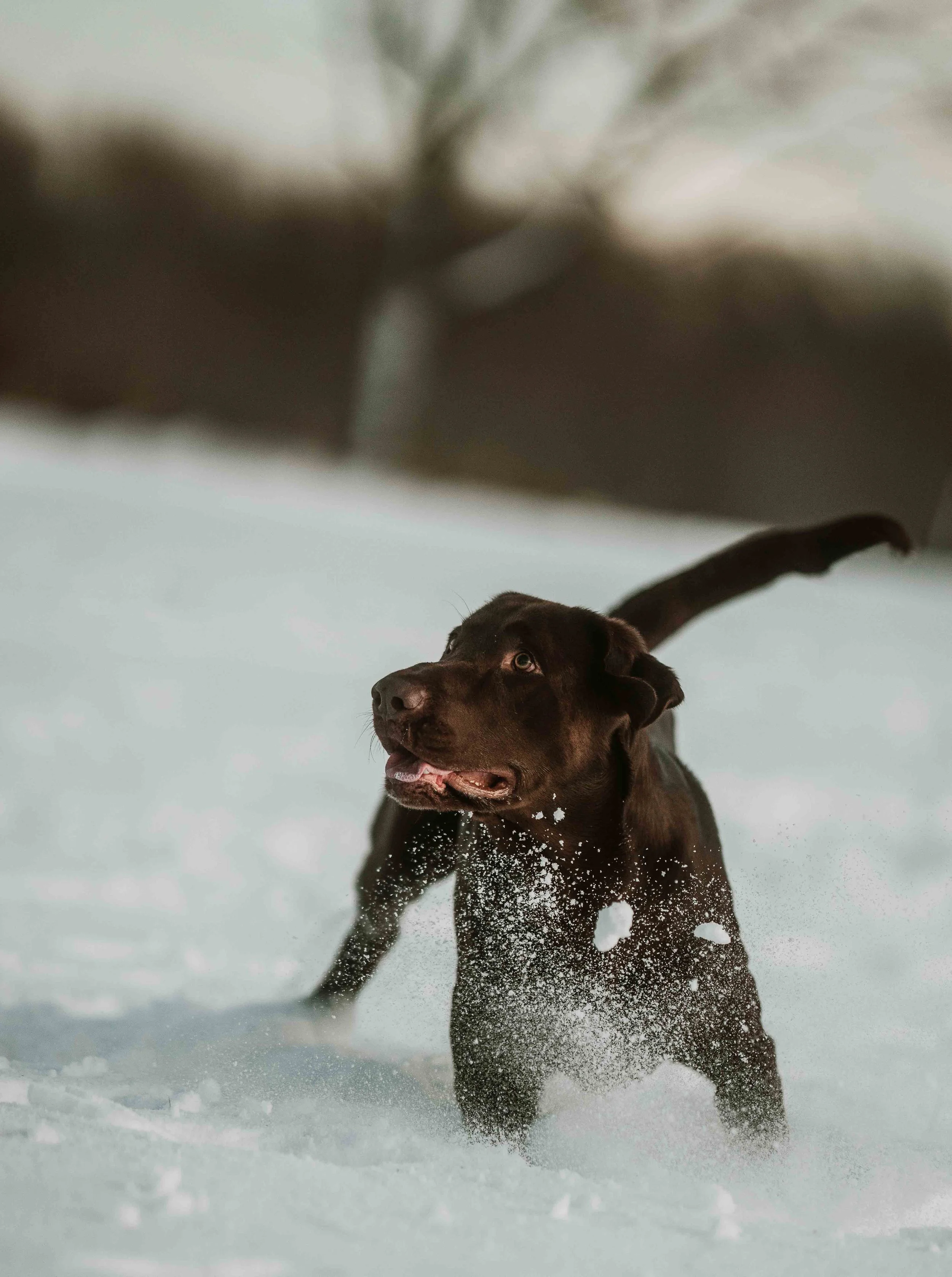 Winter Fitness Bundle