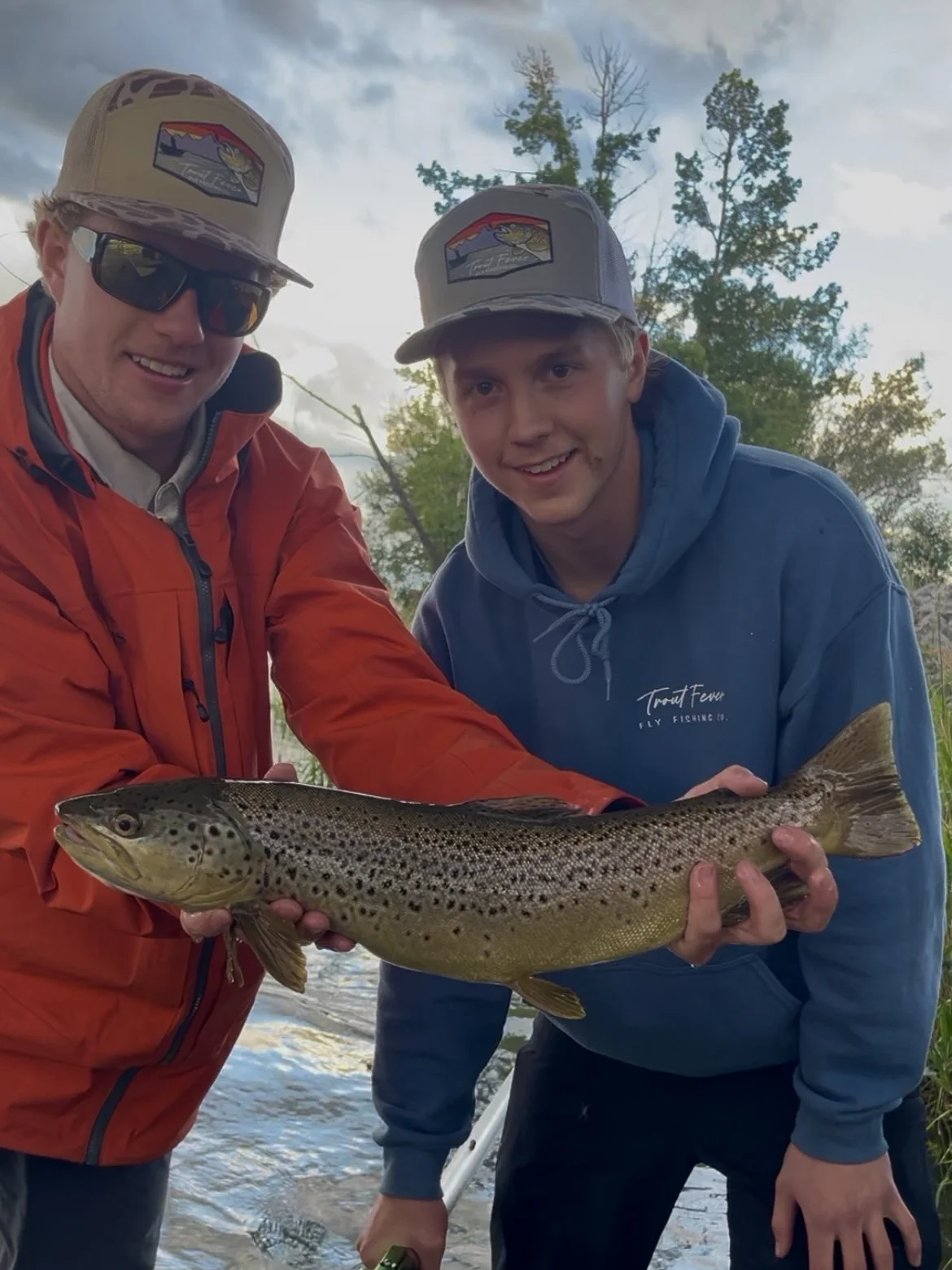 deanos bridge brown.jpg