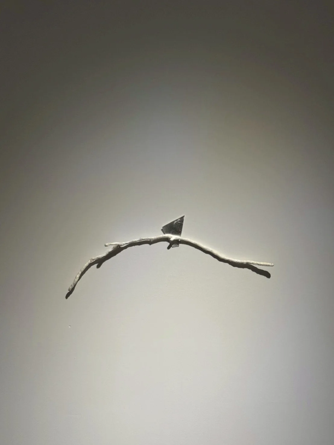 LINE_ALBUM_©️Youngdae SONG_260305_10.jpg