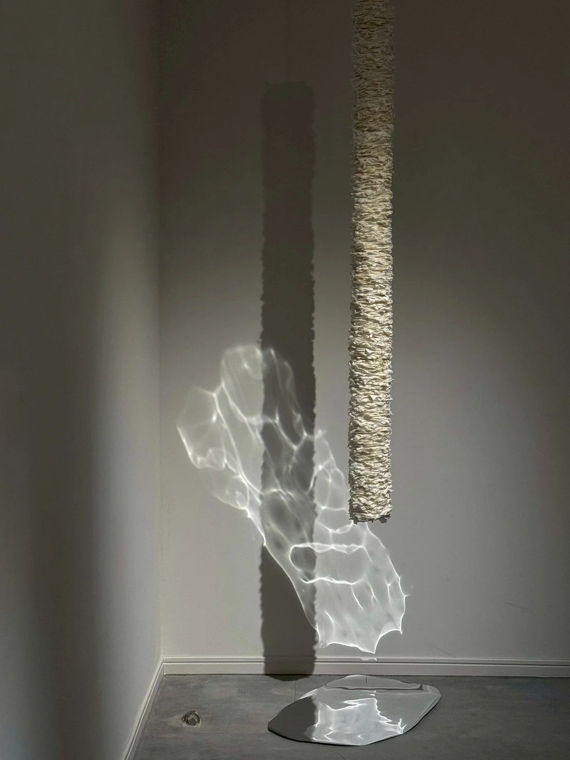 LINE_ALBUM_©️Youngdae SONG_260305_11.jpg